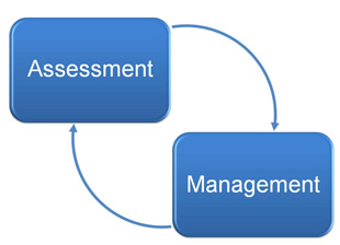 assessment management